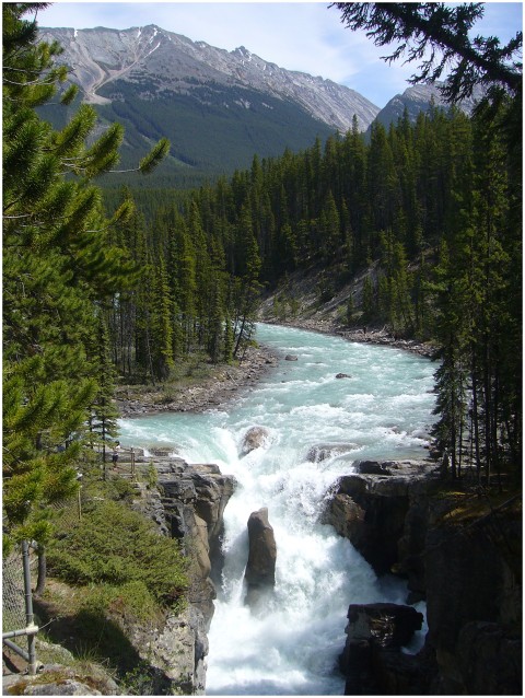 Sunwapta Falls